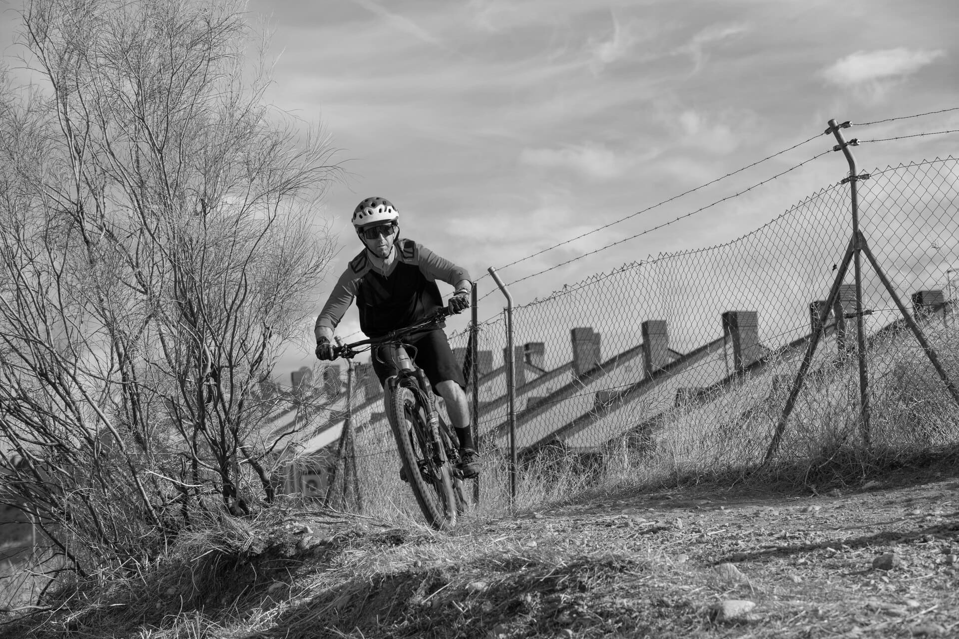 Rendimiento & Recuperación