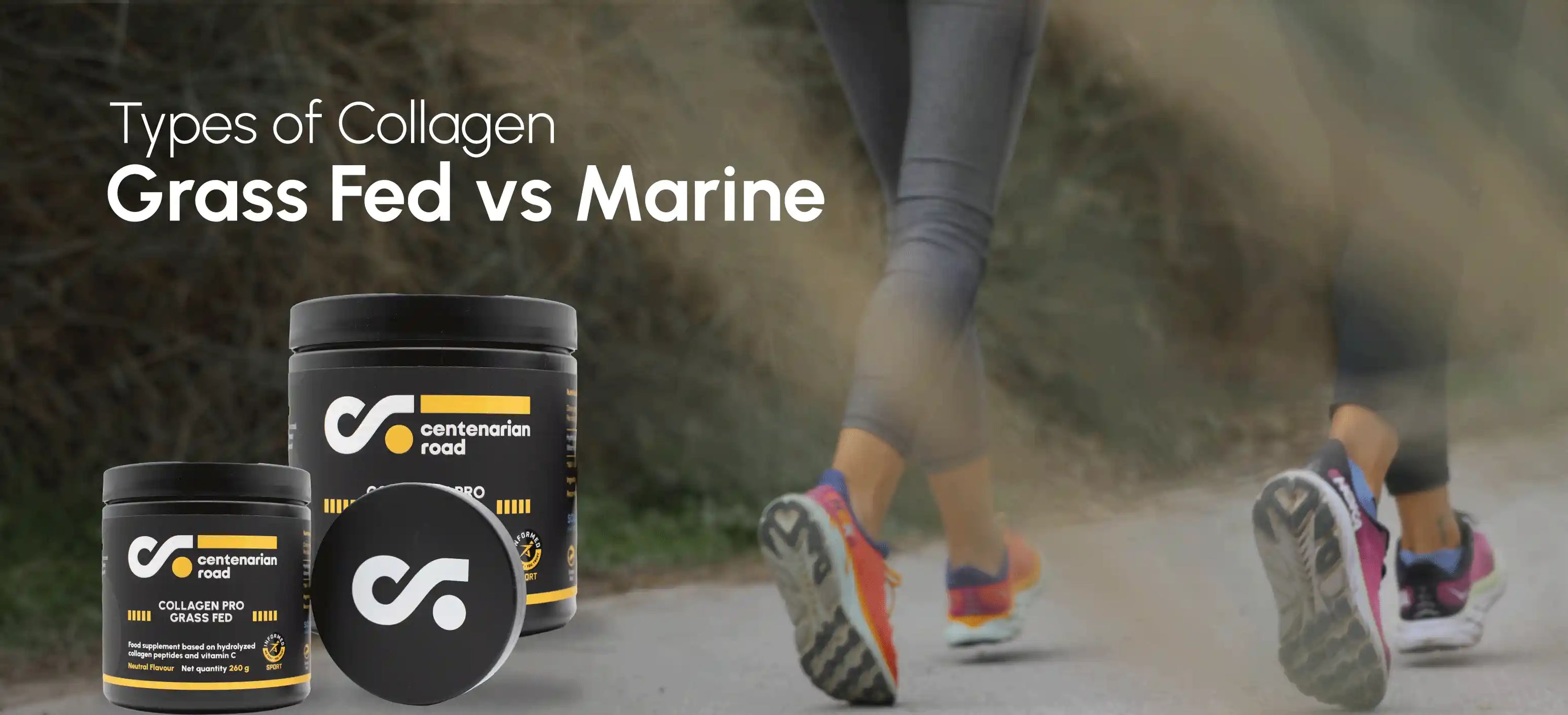 Types of Collagen: Complete Guide Grass Fed vs Marine 2025