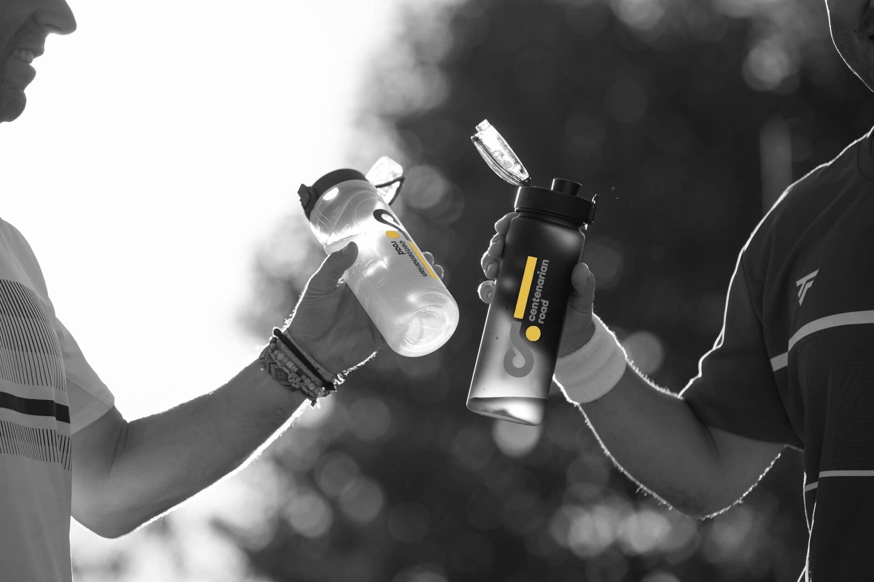 Colágeno y Movilidad: Cómo el Colágeno Mejora la Flexibilidad Articular