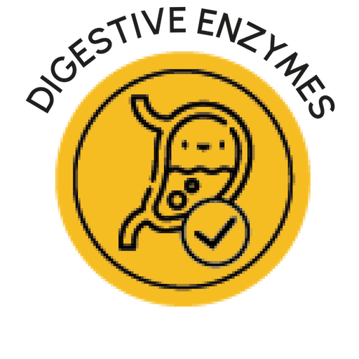 Enzimas digestivas